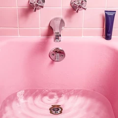 untitled image